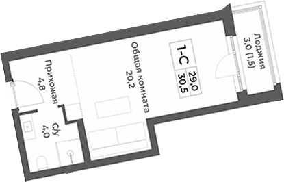 Планировка студии 29.00 м² в ЖК «RIZALTA РЕЗОРТ БЕЛОКУРИХА»