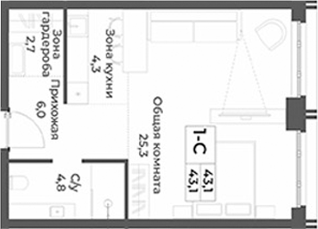Планировка студии 43.10 м² в ЖК «RIZALTA РЕЗОРТ БЕЛОКУРИХА»