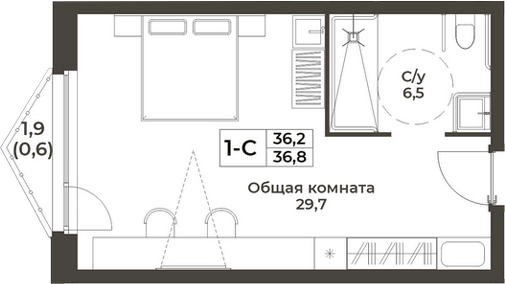 Планировка студии 36.20 м² в ЖК «RIZALTA РЕЗОРТ БЕЛОКУРИХА»