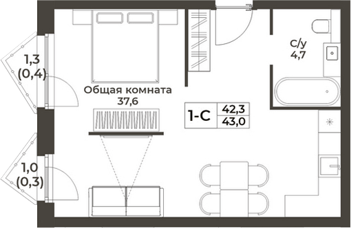 Планировка студии 42.30 м² в ЖК «RIZALTA РЕЗОРТ БЕЛОКУРИХА»