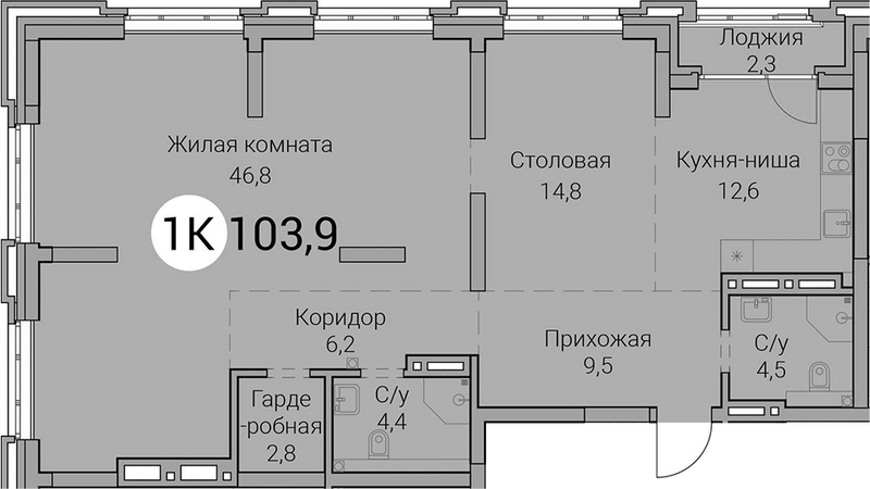 Планировка 2е-к.кв 101.60 м² в ЖК «Тайм Сквер»