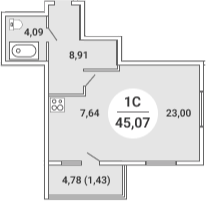 Планировка студии 43.64 м² в ЖК «Сергиев Пассаж»