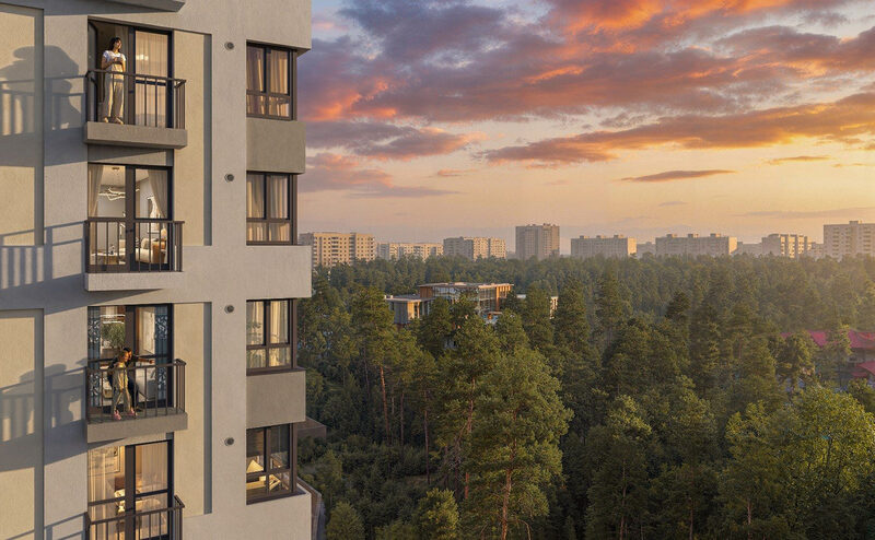 ЖК «Сила леса», общий вид